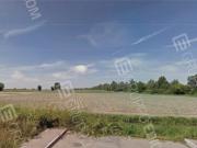 Terreno agricolo in Vendita a Castagnaro
