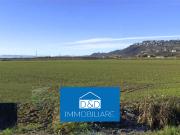 Terreno agricolo in Vendita a Castagnito