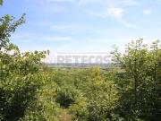 Terreno agricolo in Vendita a Castegnero
