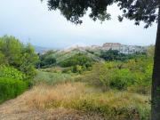 Terreno Agricolo in vendita a Castelbottaccio