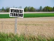 Terreno agricolo in vendita a Castelfranco di Sotto...
