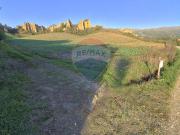 Terreno agricolo in vendita a Castelfranco Piandiscò