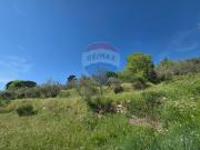 Terreno agricolo in vendita a Castelfranco Piandiscò