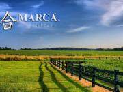 Terreno agricolo in vendita a Castelfranco Veneto