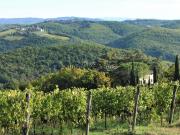 Terreno agricolo in Vendita a Castelnuovo Berardenga