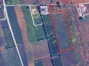 Terreno agricolo in Vendita a Castelvetrano