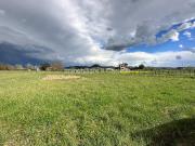 Terreno agricolo in vendita a Castiglione Del Lago