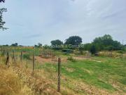 Terreno agricolo in Vendita a Castiglione del Lago