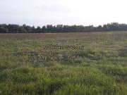 Terreno agricolo in Vendita a Castiglione del Lago