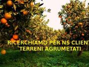 Terreno agricolo in vendita a Catania