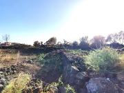 Terreno agricolo in vendita a Catania