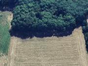 Terreno agricolo in Vendita a Cavenago di Brianza