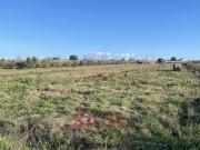 Terreno agricolo in vendita a Cecina