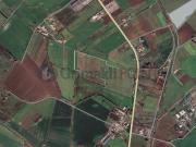 Terreno Agricolo in vendita a Cellole