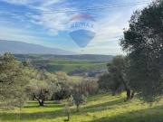 Terreno agricolo in vendita a Cervicati