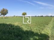 Terreno agricolo in vendita a Cesena