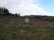 Terreno agricolo in vendita a Cesena