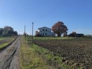 Terreno agricolo in Vendita a Cinigiano