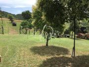 TERRENO AGRICOLO in VENDITA a CINIGIANO POGGI DEL SASSO