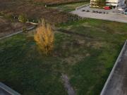 Terreno agricolo in vendita a Cisterna Di Latina