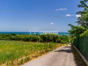Terreno agricolo in vendita a Civitanova Marche