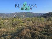 Terreno agricolo in Vendita a Civitella di Romagna