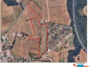 Terreno agricolo in vendita a Colle di Val d'Elsa...