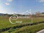 Terreno agricolo in Vendita a Collesalvetti