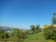 Terreno Agricolo in vendita a Controguerra