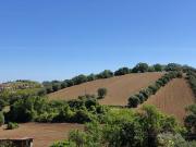 Terreno agricolo in Vendita a Controguerra
