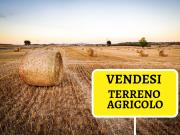 Terreno agricolo in Vendita a Correzzola