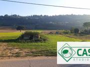 Terreno agricolo in Vendita a Corridonia