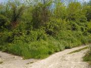 Terreno agricolo in vendita a Costermano