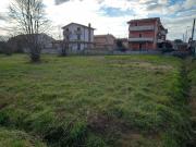 Terreno agricolo in vendita a Crespina Lorenzana