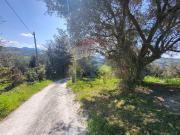 Terreno agricolo in vendita a Cupramontana