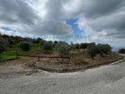 Terreno agricolo in vendita a Domicella