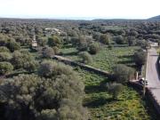 Terreno Agricolo in vendita a Dorgali