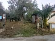 Terreno agricolo in vendita a Falerna