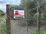 Terreno agricolo in Vendita a Follonica