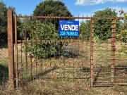 TERRENO AGRICOLO in VENDITA a FOLLONICA CAPANNINO