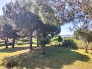 TERRENO AGRICOLO in VENDITA a FOLLONICA FUORI PAESE