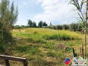 Terreno agricolo in vendita a Fondi, Semicentro