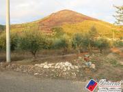 Terreno agricolo in vendita a Fondi, Semicentro