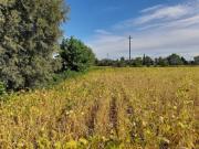 Terreno agricolo in Vendita a Fossalta di Portogruaro