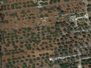 Terreno agricolo in vendita a Francavilla Fontana