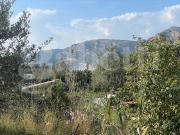 Terreno agricolo in vendita a Gaeta