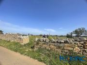 Terreno agricolo in Vendita a Galatone