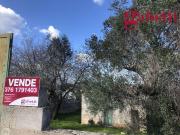 Terreno agricolo in vendita a Gallipoli