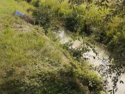 Terreno agricolo in Vendita a Gazzo Veronese