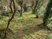 Terreno agricolo in vendita a Genova